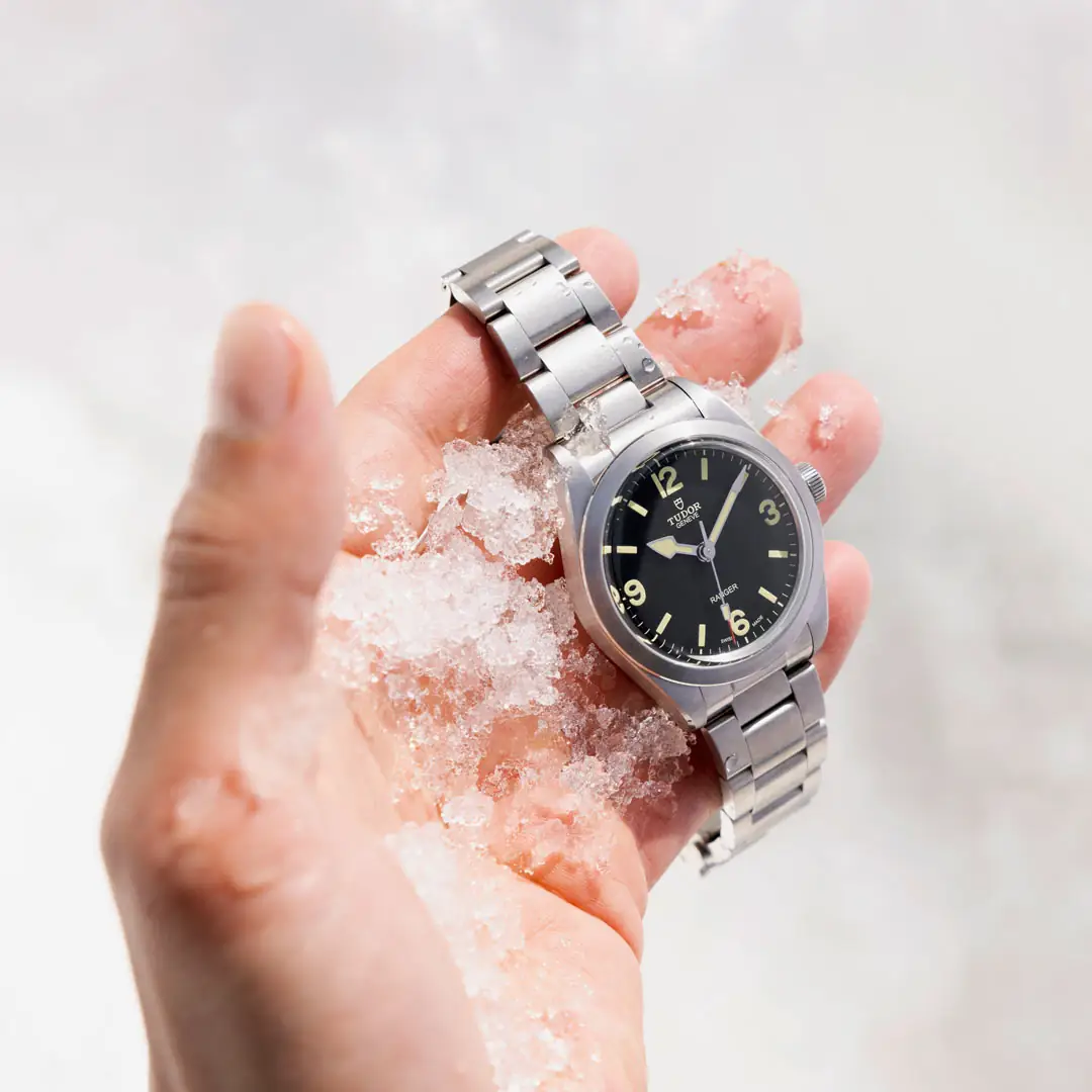 tudor-ranger-detail-2